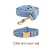 Collar And Leash Set