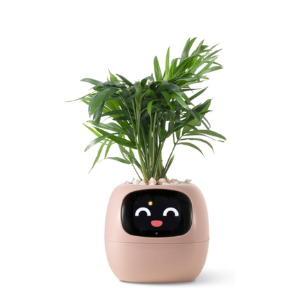 Smart Pet Planter