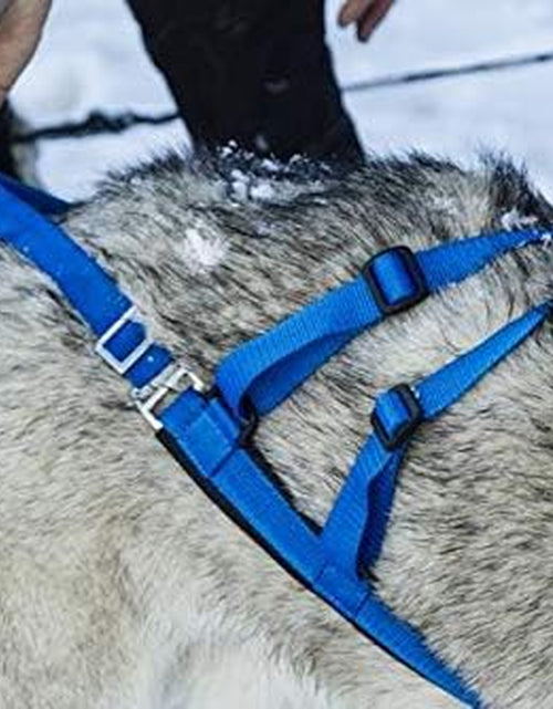 Load image into Gallery viewer, Adjustable Sled Pro Harness, Dog Harness Large Breed, Dog Pulling Harness, Giant Dog Harness, Sled Harness for Pulling, Great for Dog Joring
